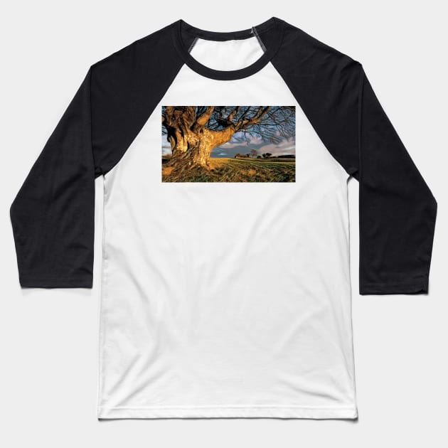 Wood and Stone#2 Baseball T-Shirt by RJDowns